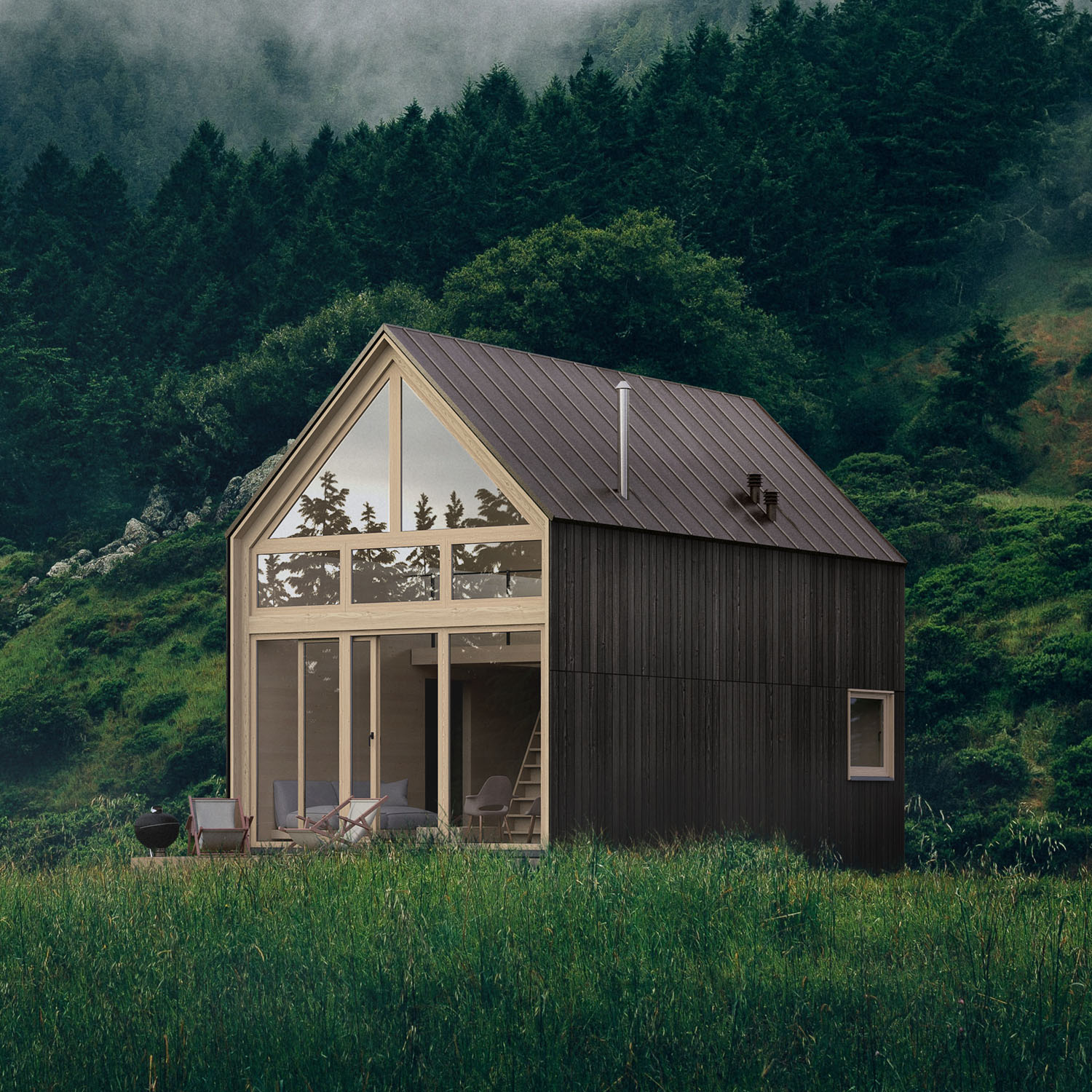 scandinavian type house
